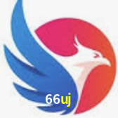 Platform Technology 66uj